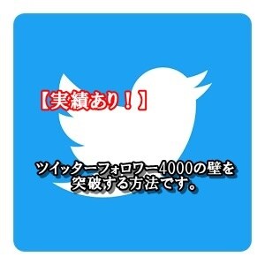 ツイッターフォロワー4000の壁を突破します Webマーケティング歴3年の私が教える圧倒的フォロワー増加法 イメージ1