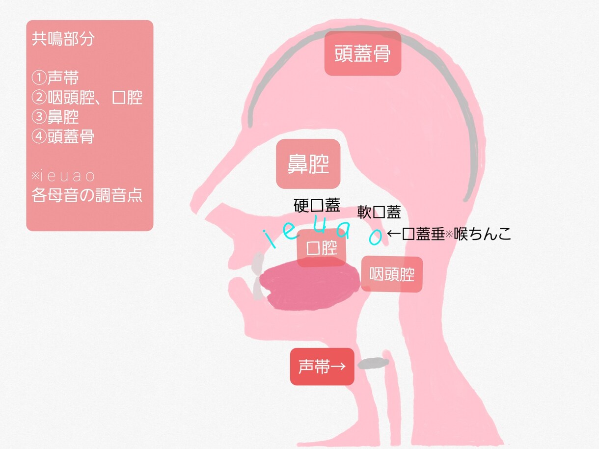 声優訓練を使った６回短期集中ビジネスボイトレします 現役声優/ボイストレーナー歴10年以上の講師によるレッスン イメージ7