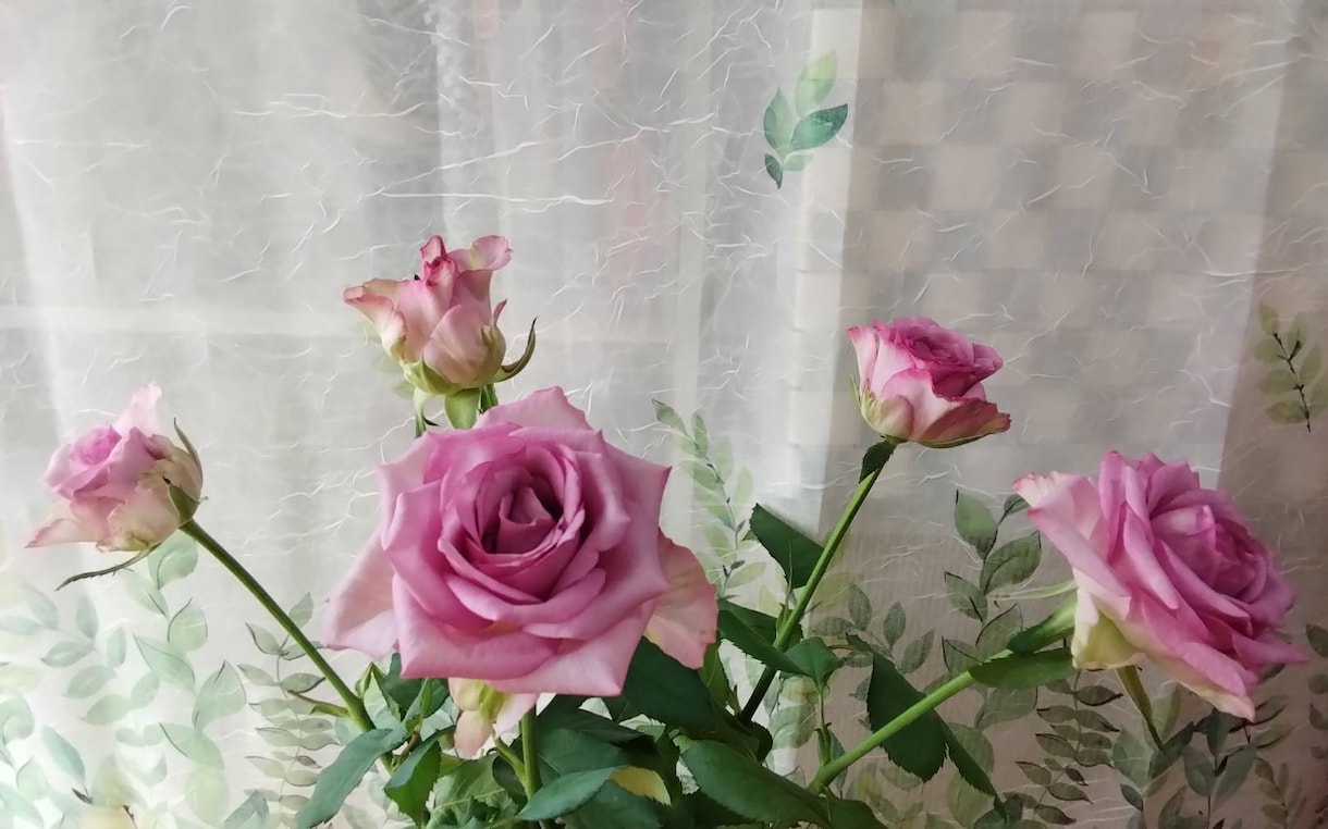 老後の漠然とした不安を真摯にお伺いいたします 現役葬儀司会者がこれからの不安を優しく聞きます イメージ1