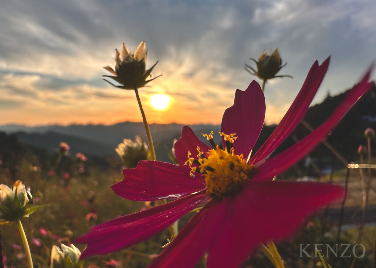 初心者から写真が上手くなる構図アプローチ教えます 写真が本気で上手くなりたい人へ イメージ6
