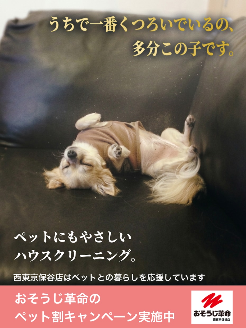 グッズやTシャツ、チラシ等各種デザイン承ります チラシ、Tシャツ等グッズ、ロゴなど各種デザイン対応 イメージ1