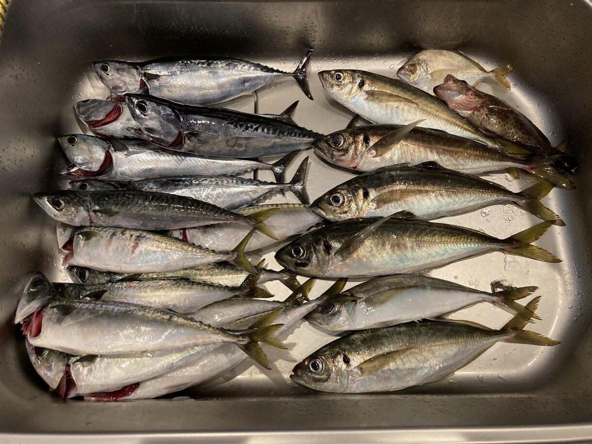 初心者〜熟練者まで！釣りの相談のります 動画ではわからない釣具の選び方や良い船宿選定教えます イメージ5