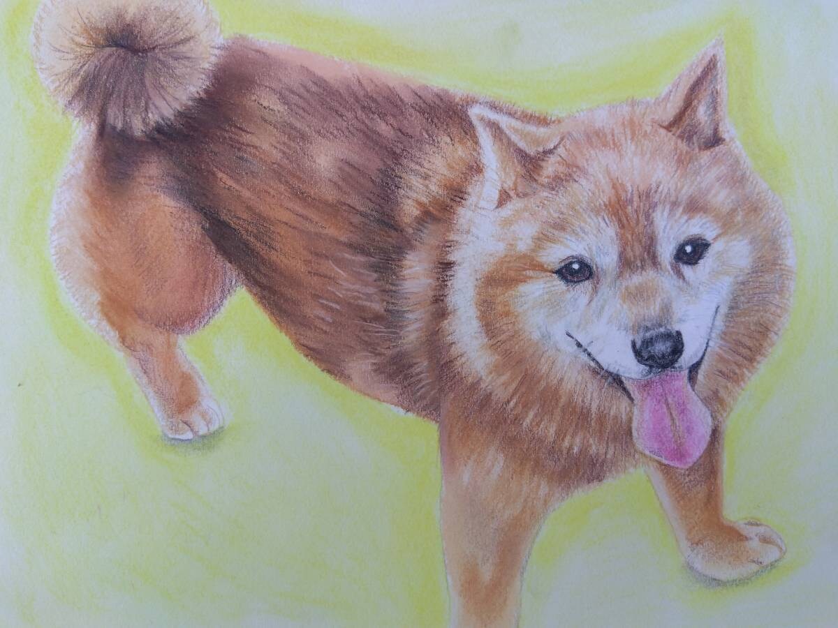 リアルなペット画、似顔絵手描きします 温かみあふれるパステル画、水彩画、木炭画描きます。 イメージ3