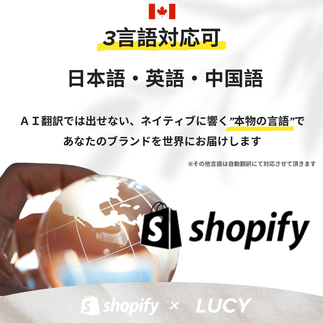 キャンペーン中！Shopify越境ECを制作します 北米マーケター×エンジニアが売れるサイト作りをサポートします イメージ3