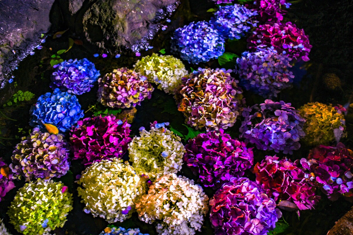 写真を代行します 見たことの無い景色をあなたへ。。 イメージ1