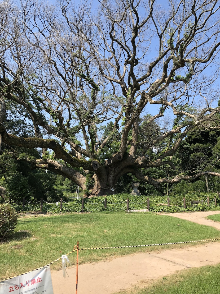 恋愛　運命　あなたの色を鑑定し占います 十人十色ひとには色があります。あなたの色を鑑定し導きます イメージ1