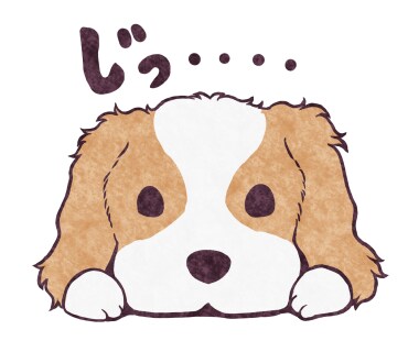 漫画・イラストを描きます 精一杯描かせていただきます。お気軽にお問合せください！ イメージ7