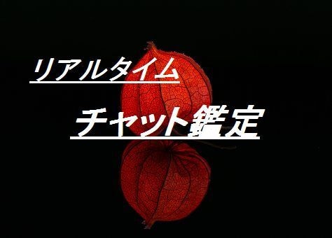 リアルタイムチャット鑑定＊相手の気持ちを鋭くみます チャット鑑定の実績のあるプロによる本格鑑定です イメージ1