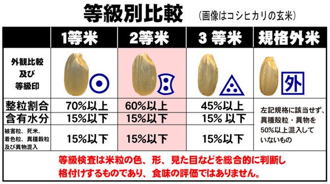 玄米を分析して整粒の%等をだします 整粒の%などから玄米がどのような状態か数字でだします。米検査 イメージ3
