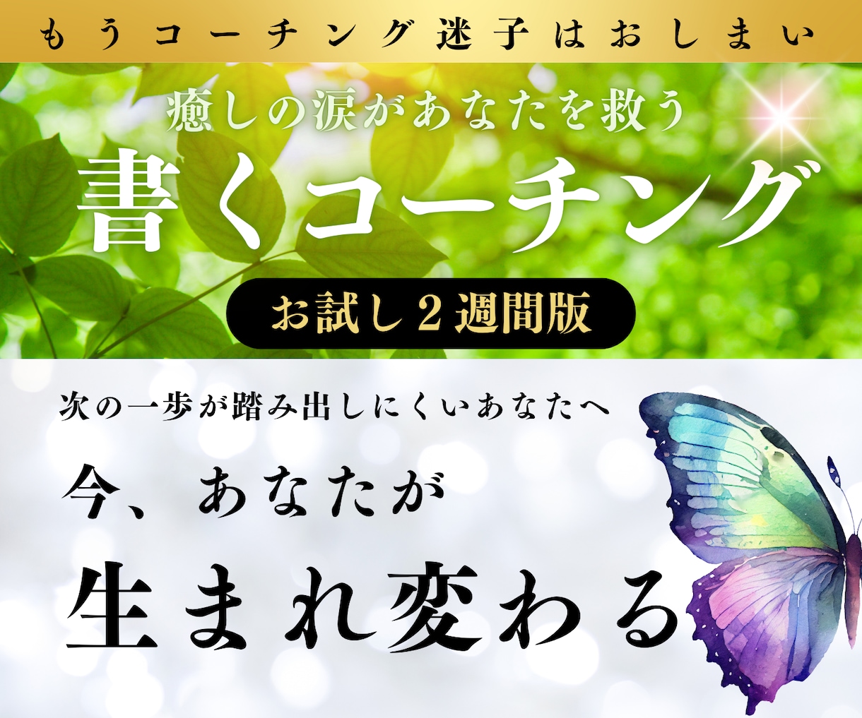 書くコーチング２週間版✨自分を癒して目標達成します 癒しの涙があなたを救う愛のコーチング/今、生まれ変わる自分 イメージ1