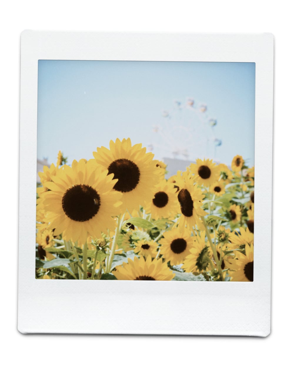 写真をチェキ風写真にします 現役高校生が写真をチェキ風写真に加工します！ イメージ2