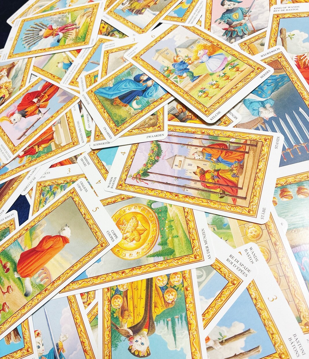 タロットであなたの恋と気になる相手の想いを占います 初心者歓迎✴︎不安な気持ちも安心に変える、猫タロット鑑定 イメージ2