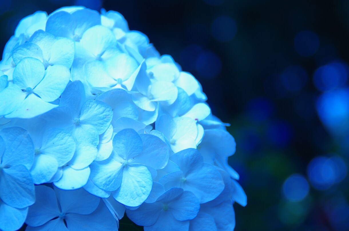 1枚100円で写真をご提供致します SNS用や風景写真が欲しい方など。。 イメージ2