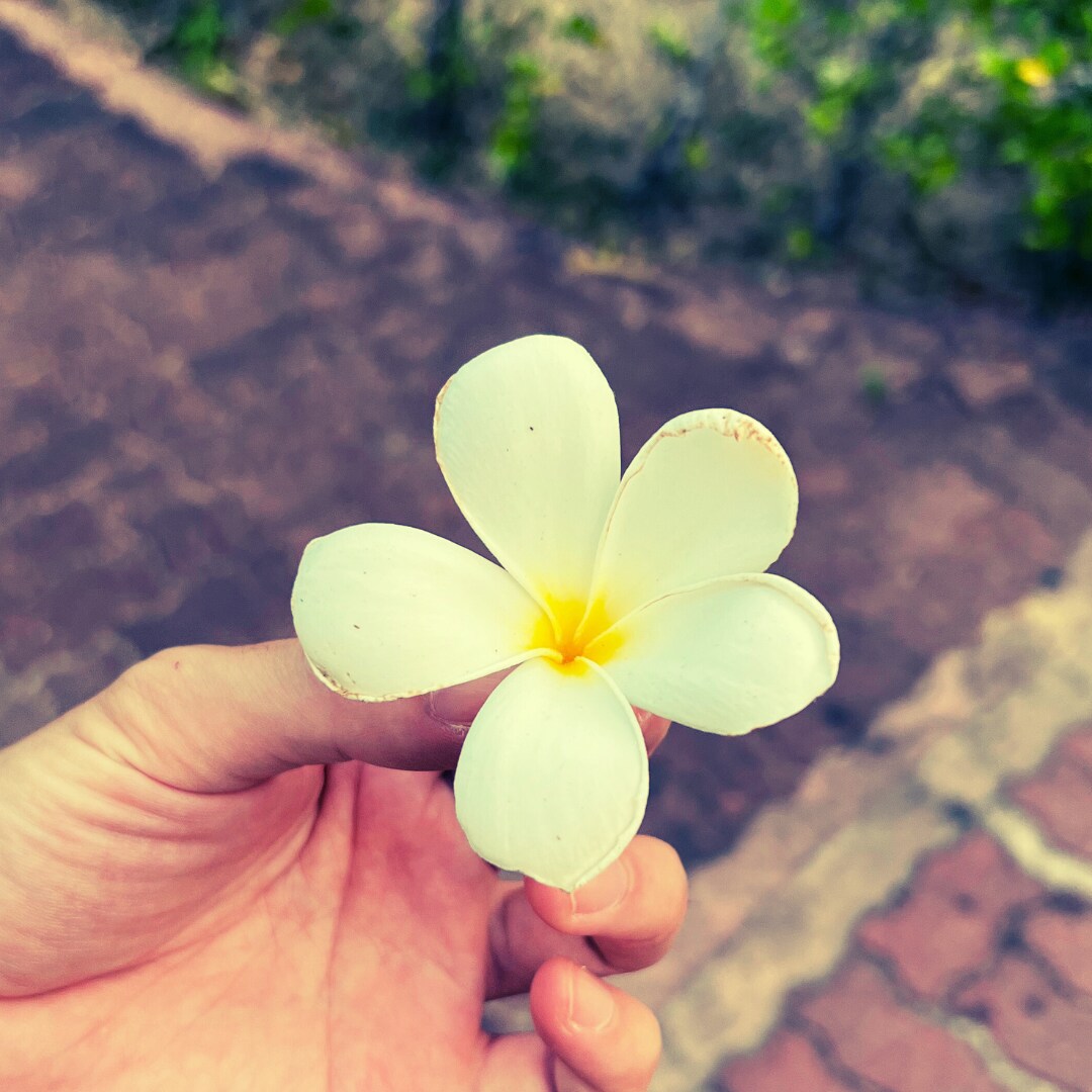 ちょっとポジティブに。ゆっくり話聞きます 否定はしません。一緒にほっこりした時間を過ごしましょう！ イメージ4