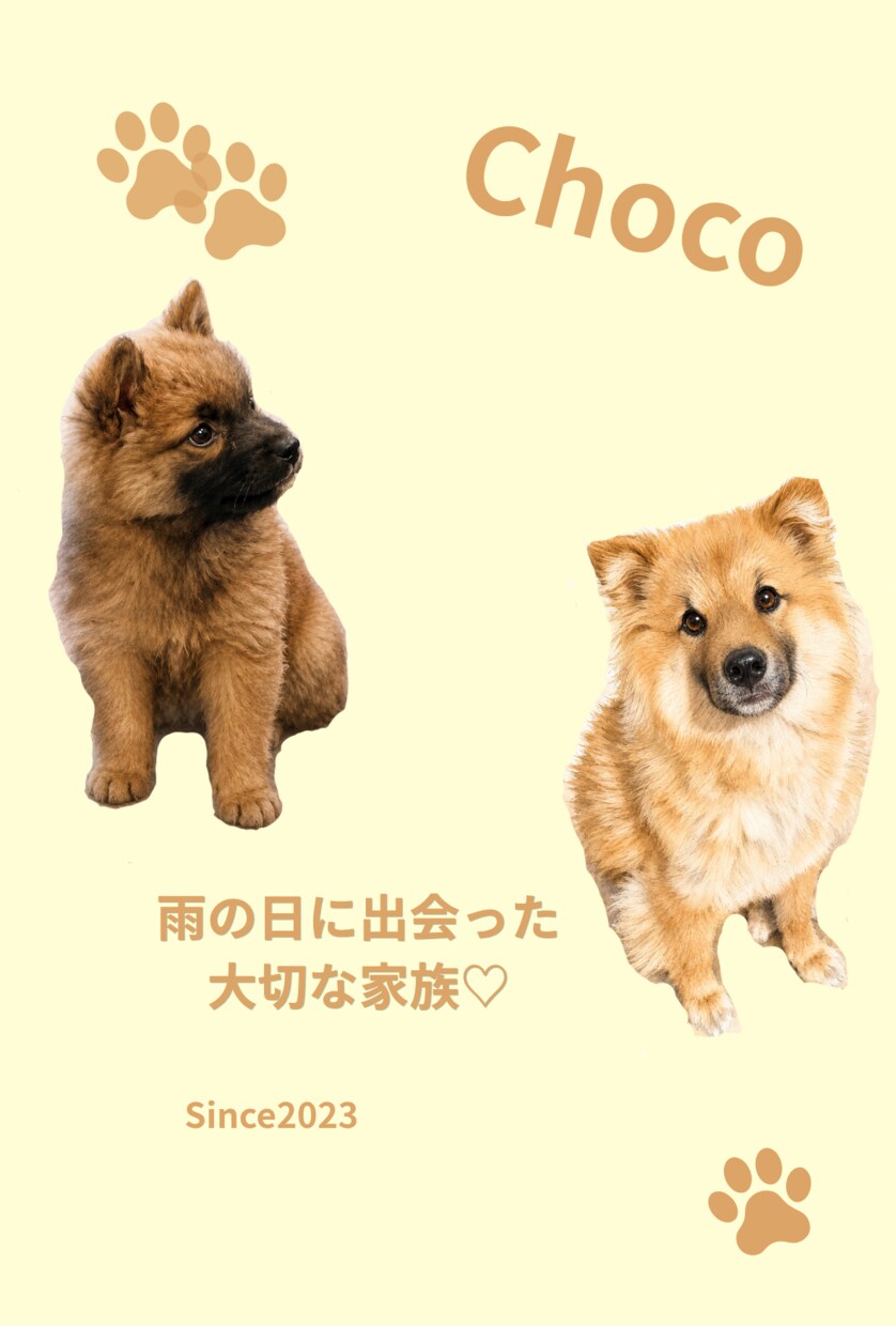 愛犬・愛猫のストーリーカードを制作します 世界にひとつだけの思い出を、一枚のカードに。 イメージ4