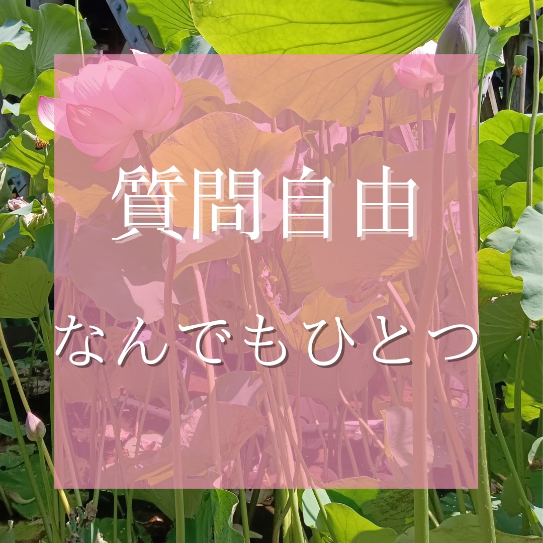 タロット・オラクルカードで占います 自由な質問内容に対して占っていきます。 イメージ1