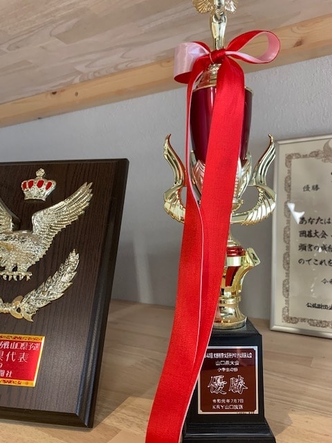 囲碁でわからない部分をご説明致します わかりやすくをモットーに全国大会優勝経験者がご説明します。 イメージ2