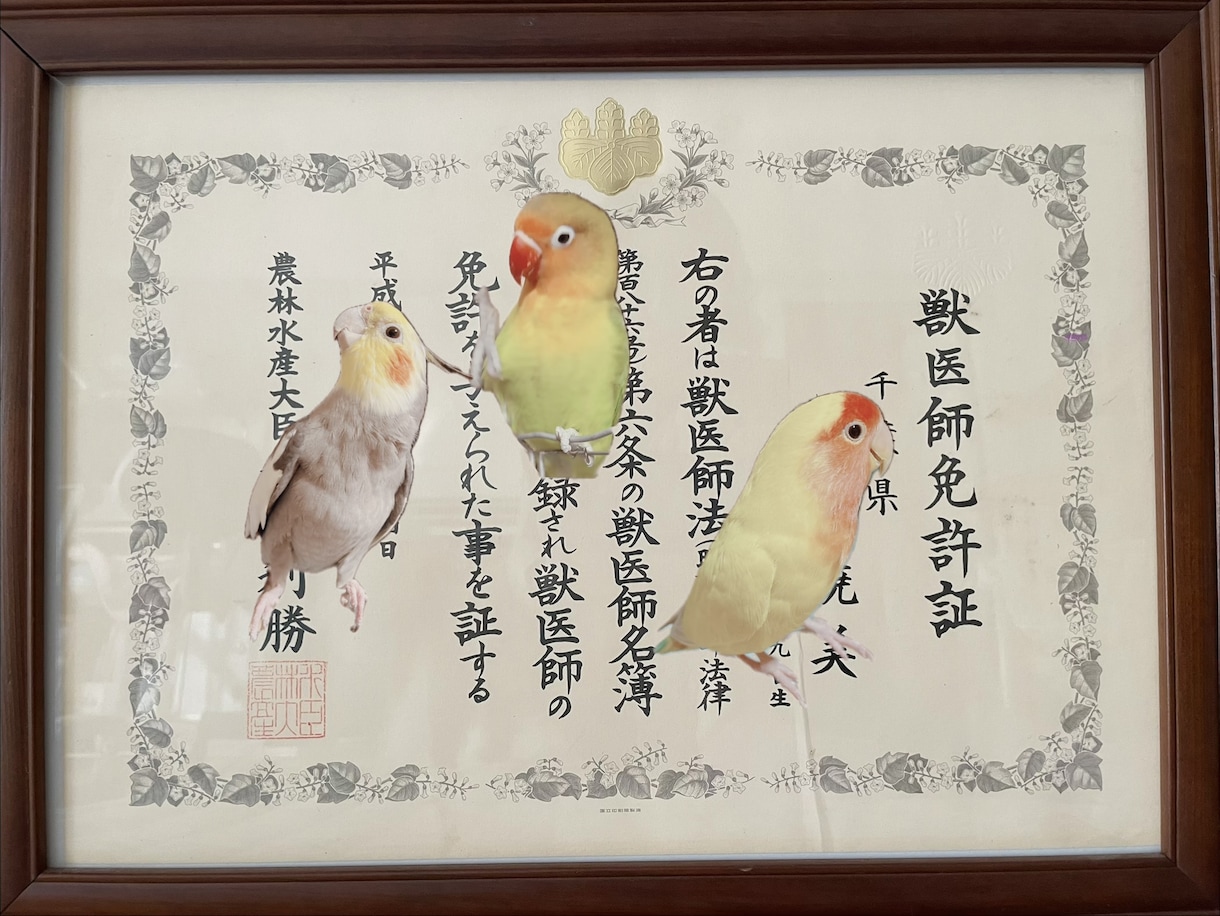 動物病院で聞きそびれたこと獣医師が一緒に整理します 病院に行くほど？誰かに聞きたい。ペットの不安をお聞きします イメージ2