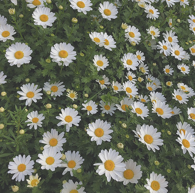 あなたのいい所をひたすら褒めます あまり褒められることが無い大人のあなたを全力で褒めます！！ イメージ1