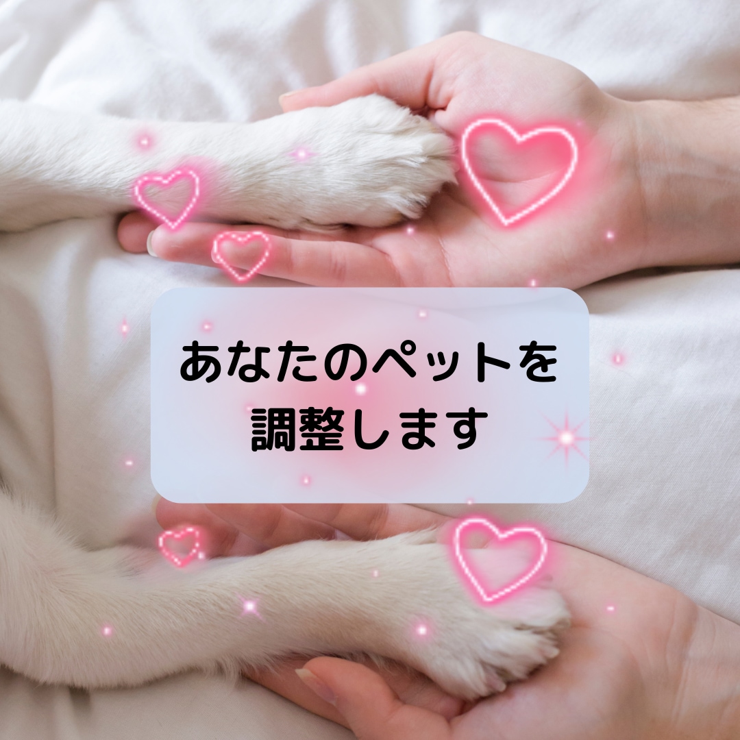 ペットの健やかな毎日をタイムウェーバーで調整します タイムウェーバーの波動調整でペットの心身を最適化 イメージ1