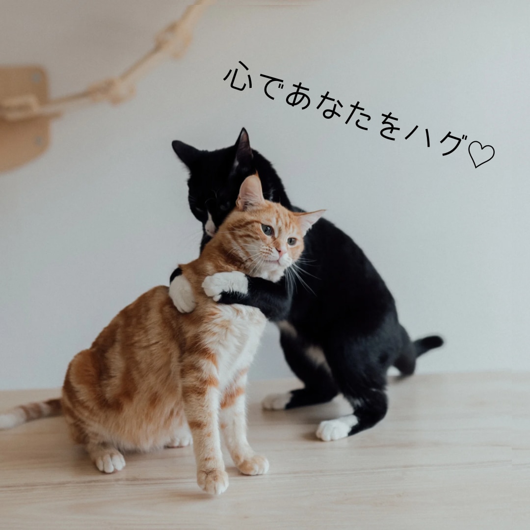 １分でも◎今すぐ聞いてほしい！気持ち受け止めます 心理カウンセラーが提供する心の保健室♡一休みしていきませんか イメージ3