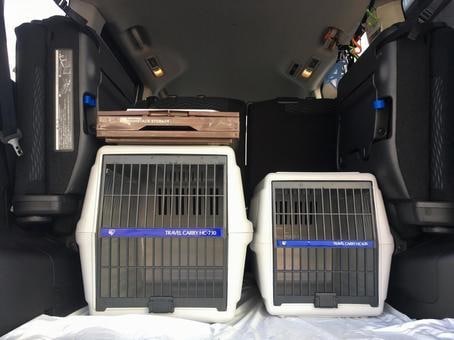 ペットタクシーの届出代行します 【貨物軽自動車運送事業届出を代行】 イメージ4