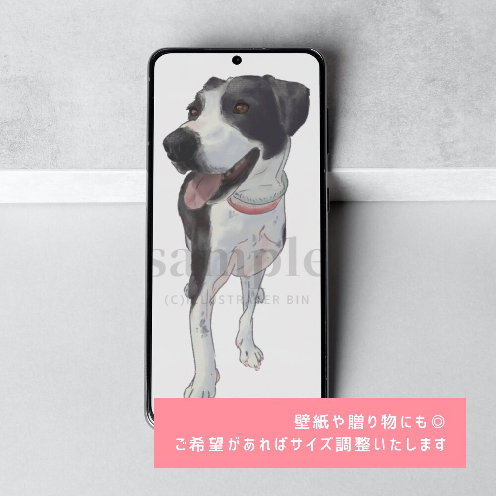 やさしいタッチでペットのイラスト描きます 犬猫小動物、爬虫類、なんでも描きます！ イメージ2