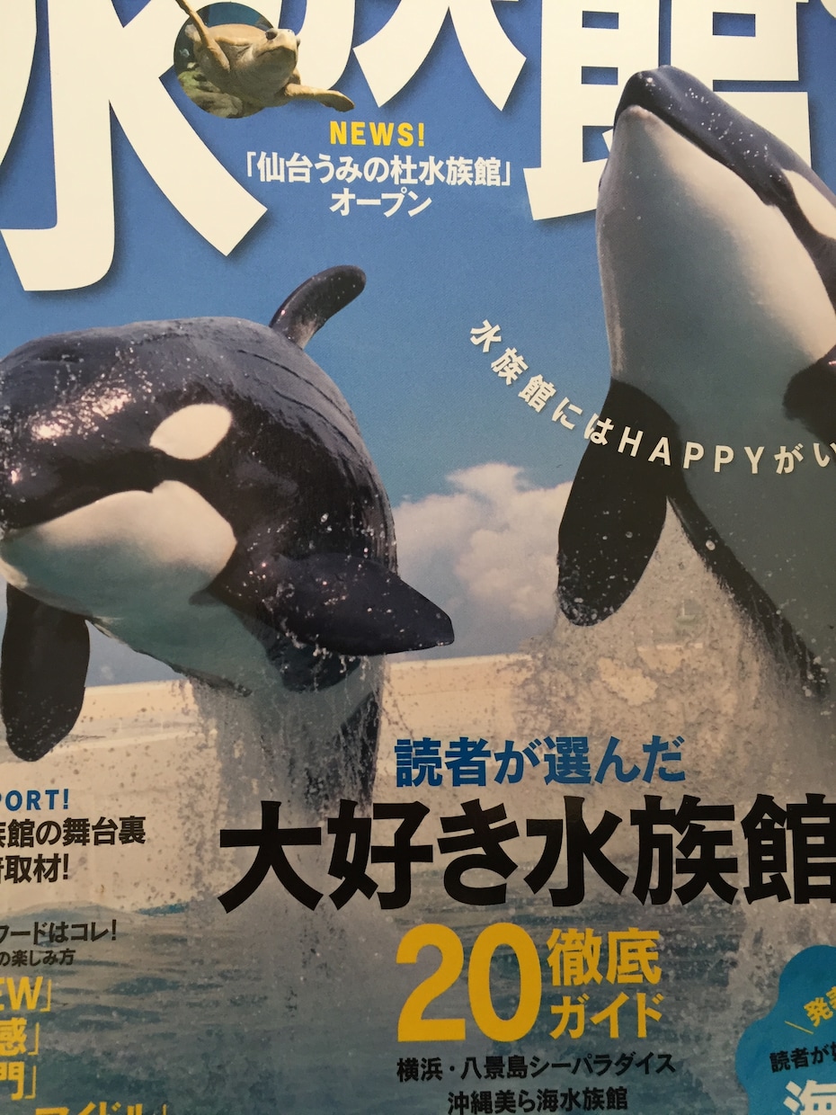 おすすめ水族館教えます デートや家族のお出かけ場所にお困りのあなたへ イメージ1