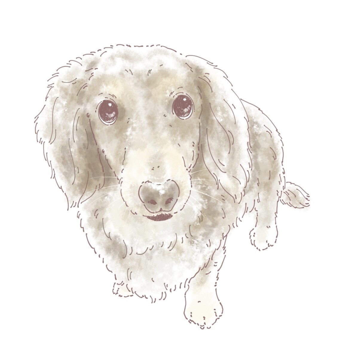 温かく優しいタッチでペットのイラストお描きします データお渡し⭐︎アイコンやグッズ制作にもお使いいただけます♪ イメージ2