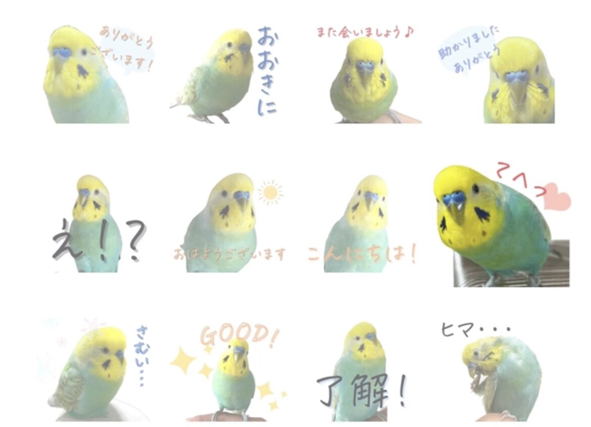 オープン特価！LINEスタンプ写真8枚作ります あなただけのオリジナルLINEスタンプを使ってみませんか? イメージ7