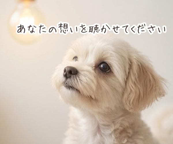 積み重ねてきた想い、丁寧に言語化します 【心理相談室】共感だけでは終わらない《核心》に触れる対話 イメージ9
