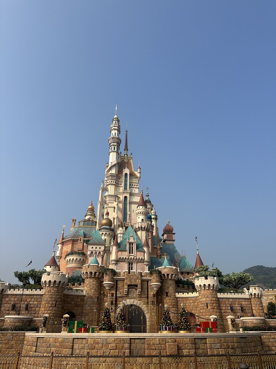 ディズニー（東京、香港）とUSJのプランを考えます 後悔しない過ごし方を一緒に考えさせてください！ イメージ3