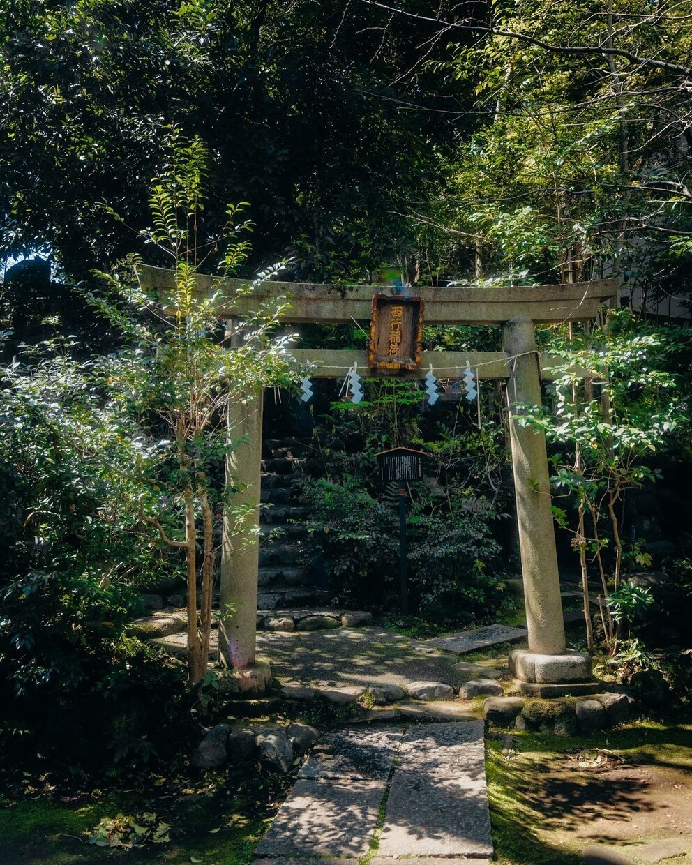 どんな悩みに対しても最善の未来へ進む答えを授けます 【原因は一つではない】全ての流れを解明し好転の道を示します イメージ4