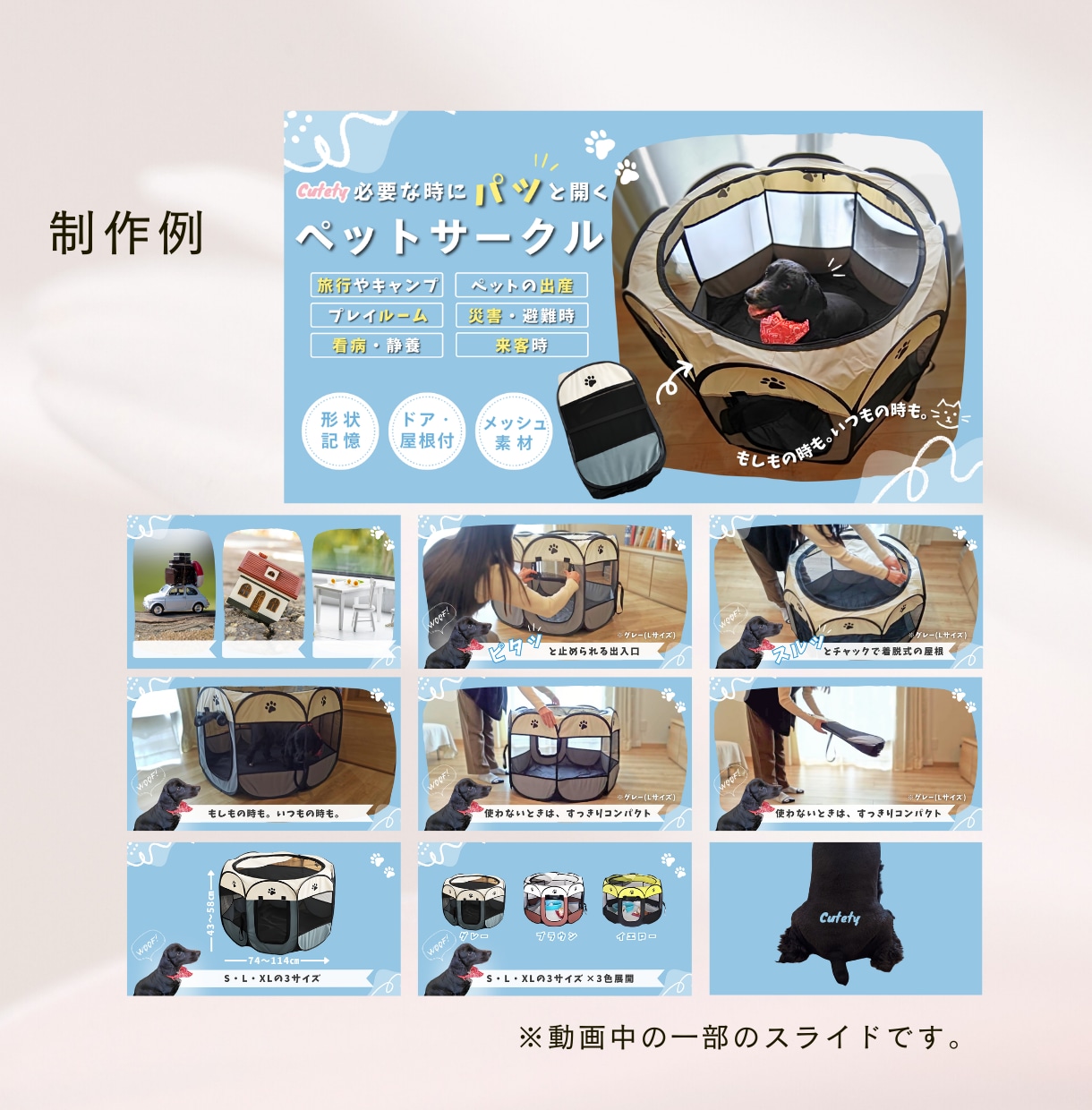 猫モデルとペット商品撮影&広告動画制作いたします ˗ˋˏ商品・サービスの魅力を伝える飽きさせない動画制作ˎˊ˗ イメージ3