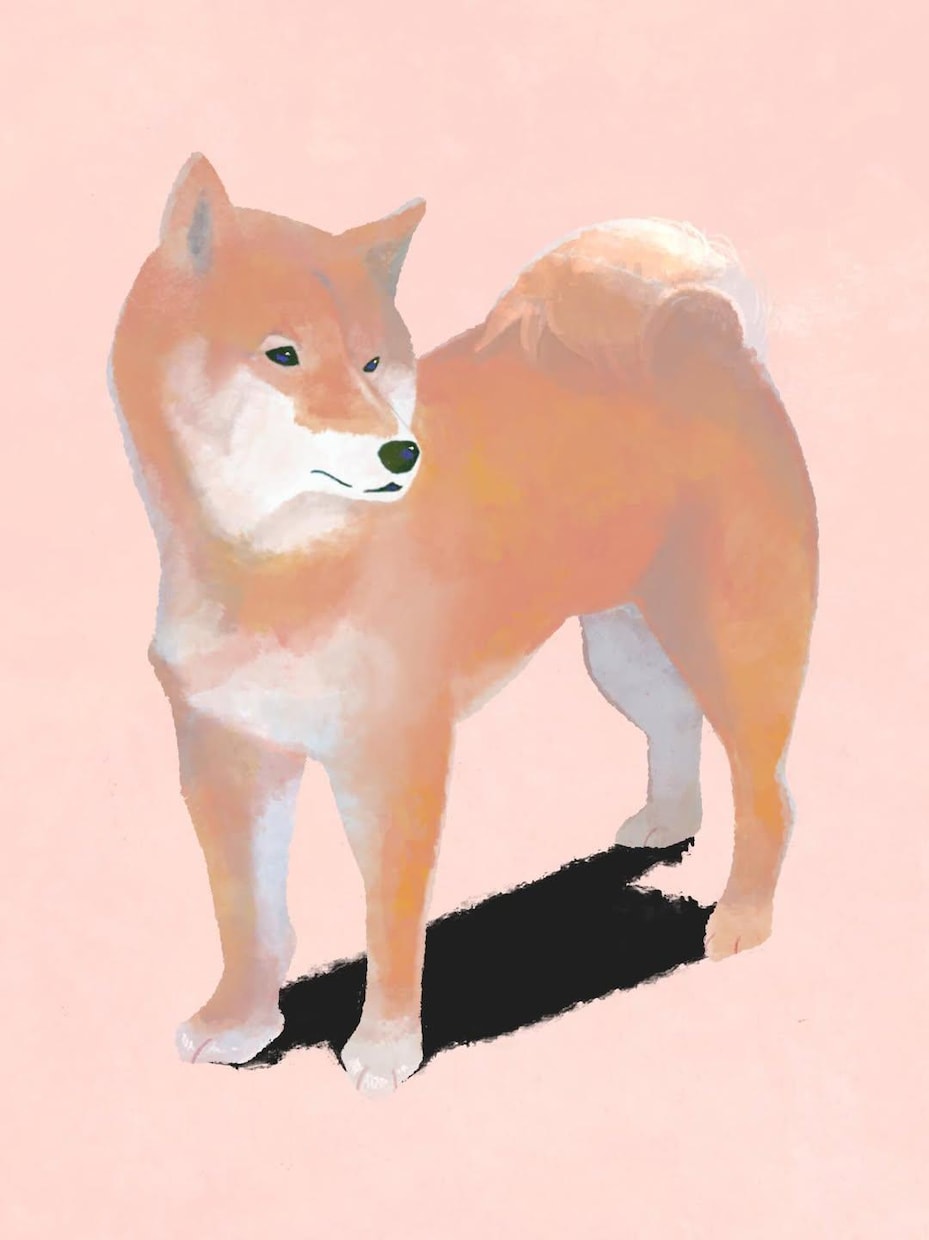 優しい色使いで皆様の愛犬を描かせていただきます みなさまの大好きなペットのイラストを描かせてください！ イメージ5