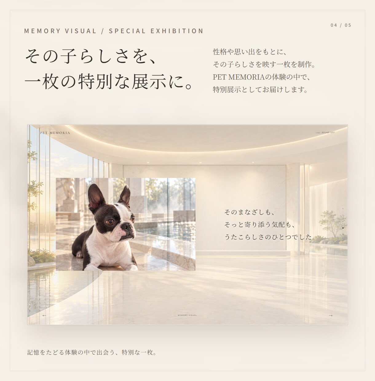 ペットとの大切な時間をデジタル美術館にします 写真だけでは残しきれない、その子との時間を。 イメージ4