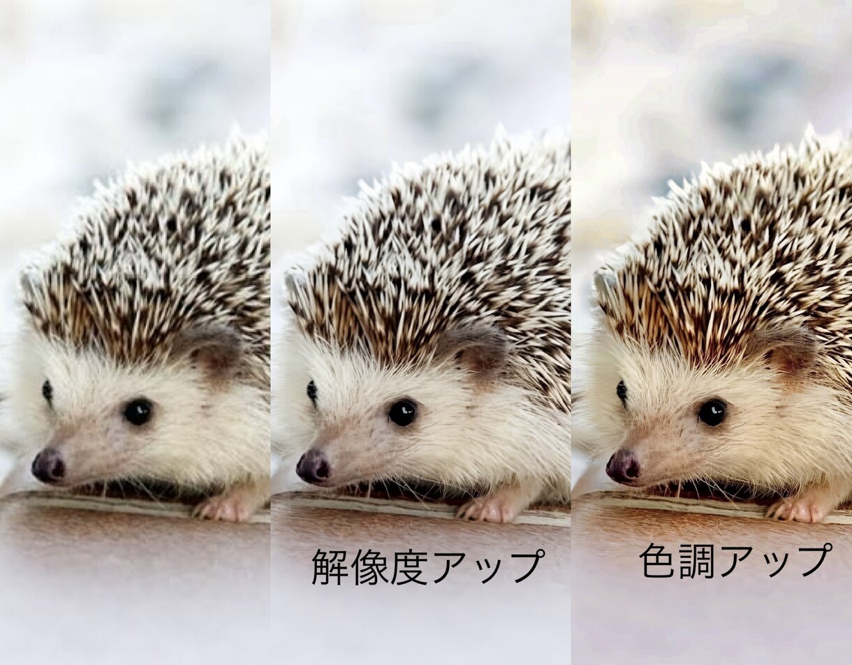 サンプル無料 大事なイラストと古い写真 復元します 色あせがあったり画質が悪い画像でも綺麗に復元します。 イメージ5