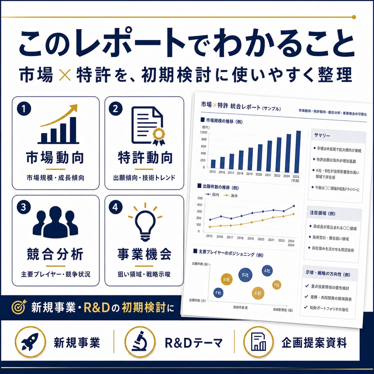市場×特許の統合レポート作成します 事業機会と競合動向を見える化します イメージ2