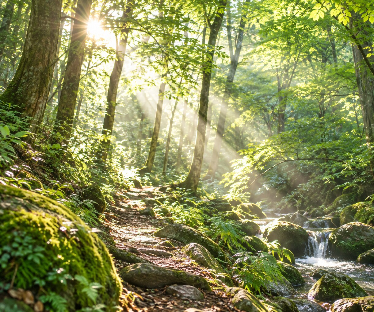 キャリアコンサルタント実技試験対策　CL役やります ロープレ・口頭試問のご相談、希望CL設定にも対応します！ イメージ3