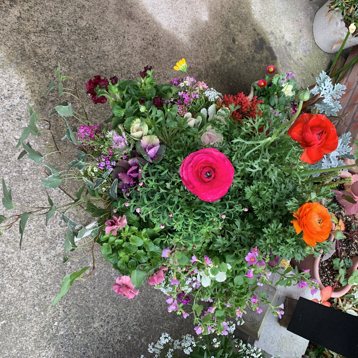 寄せ植えを作ります 四季折々の寄せ植え達をお届けします イメージ7