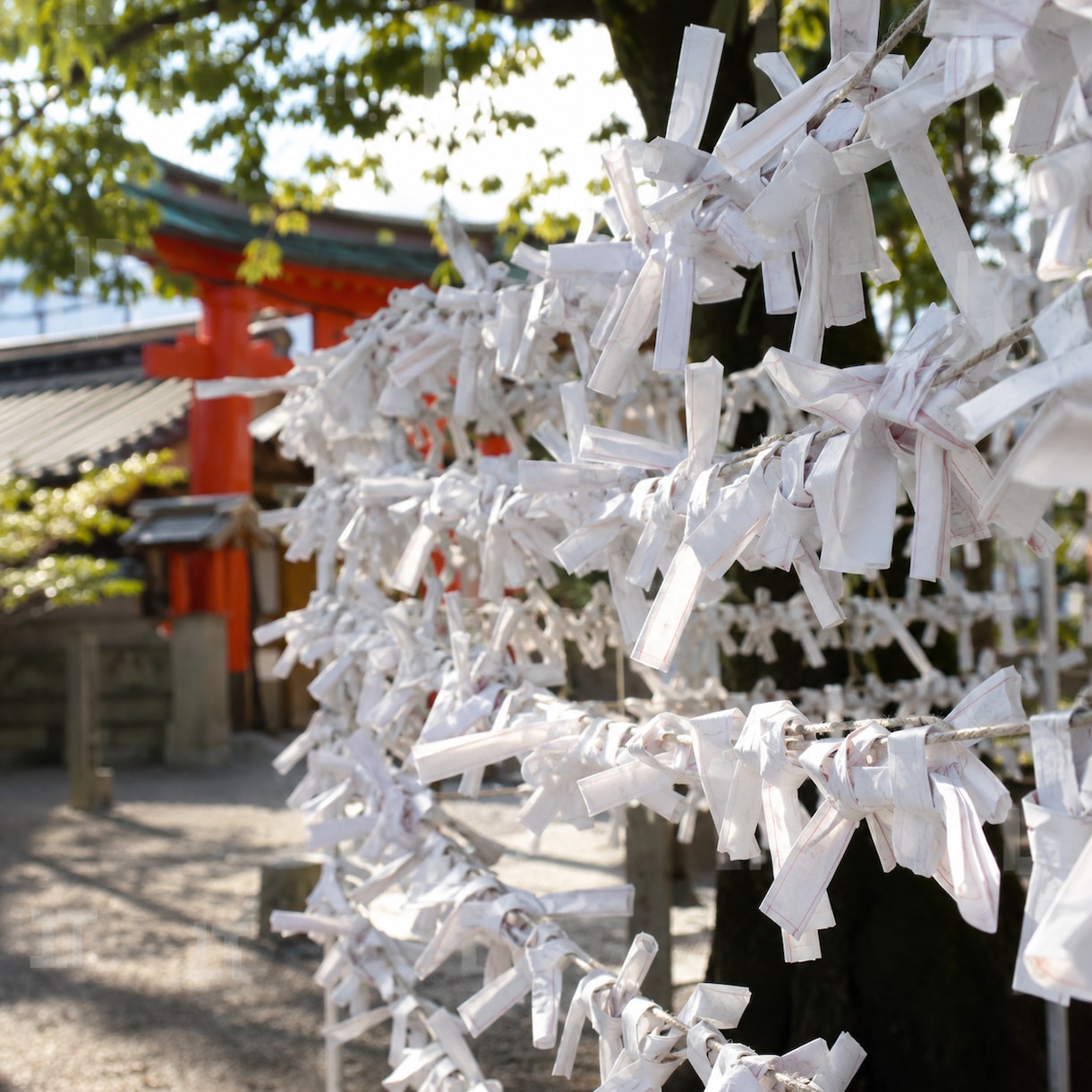 運命の人◆愛される結婚相手の特徴と時期を視ます 出会いがない｜ツインレイと出会える可能性を深く視ます イメージ4