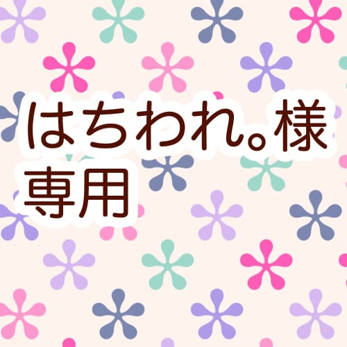 はちわれ。様専用でございます はちわれ。様専用出品のためご本人以外の購入は禁止いたします。 イメージ1