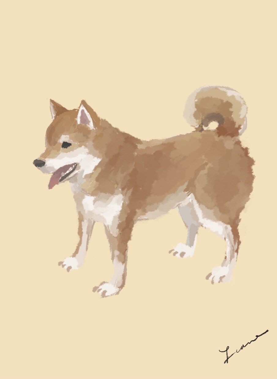 大切なペットのイラストを描きます 大切なペットちゃんの一瞬をイラストにして残しませんか？ イメージ5