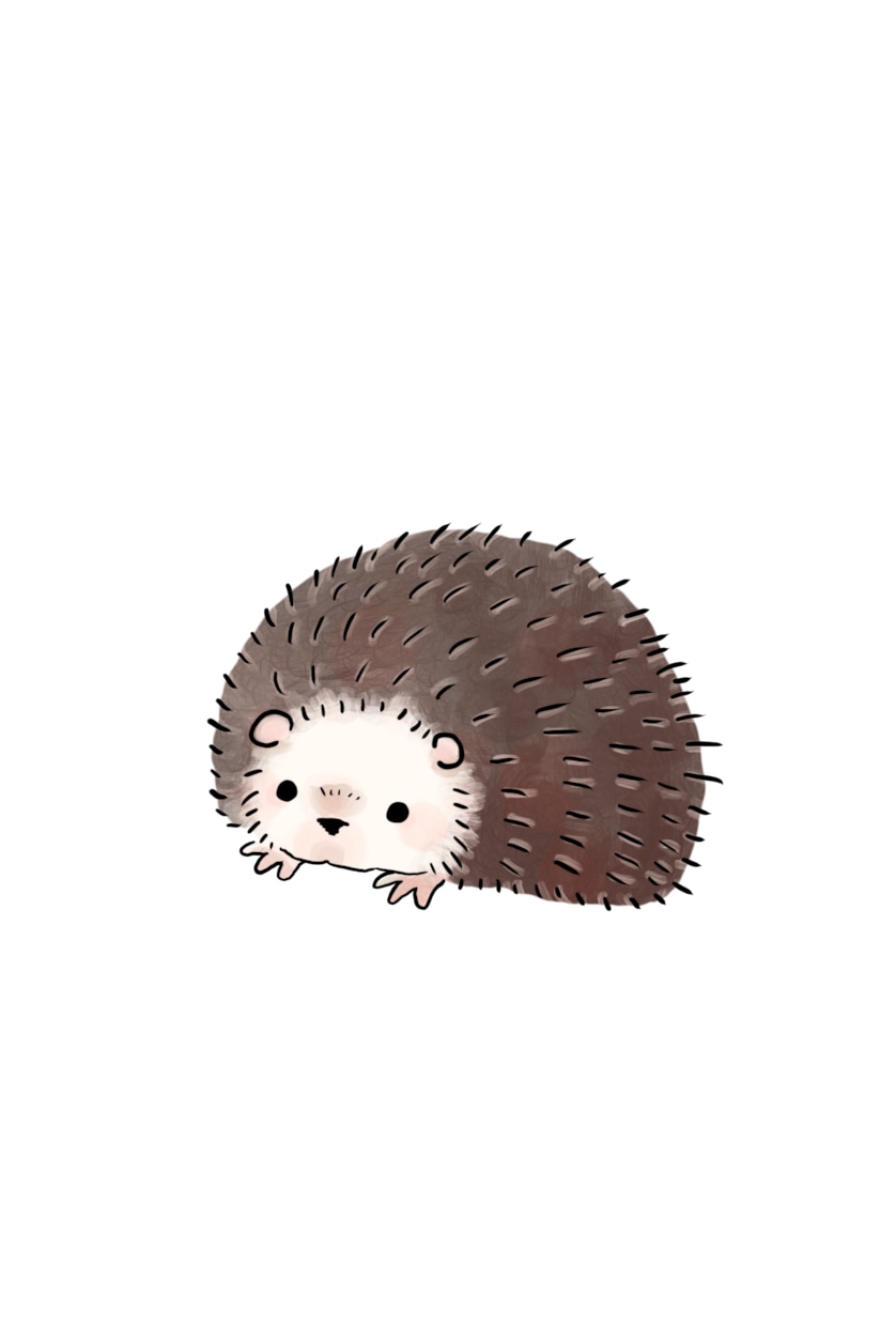 ペット、お好きな動物をかわいいイラストにします 【修正無制限！】ゆるふわ～な動物イラストが欲しい方へ イメージ4