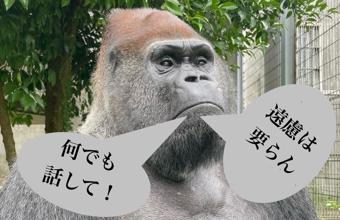 普通の男性が話し相手、相談にのります どんな話でもOK!タメ口OK! ストレス発散！ イメージ6