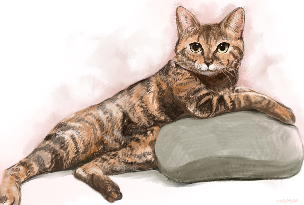 暖かみのあるペットの似顔絵を描きます 写真をもとに作成リアルテイストな似顔絵 イメージ2