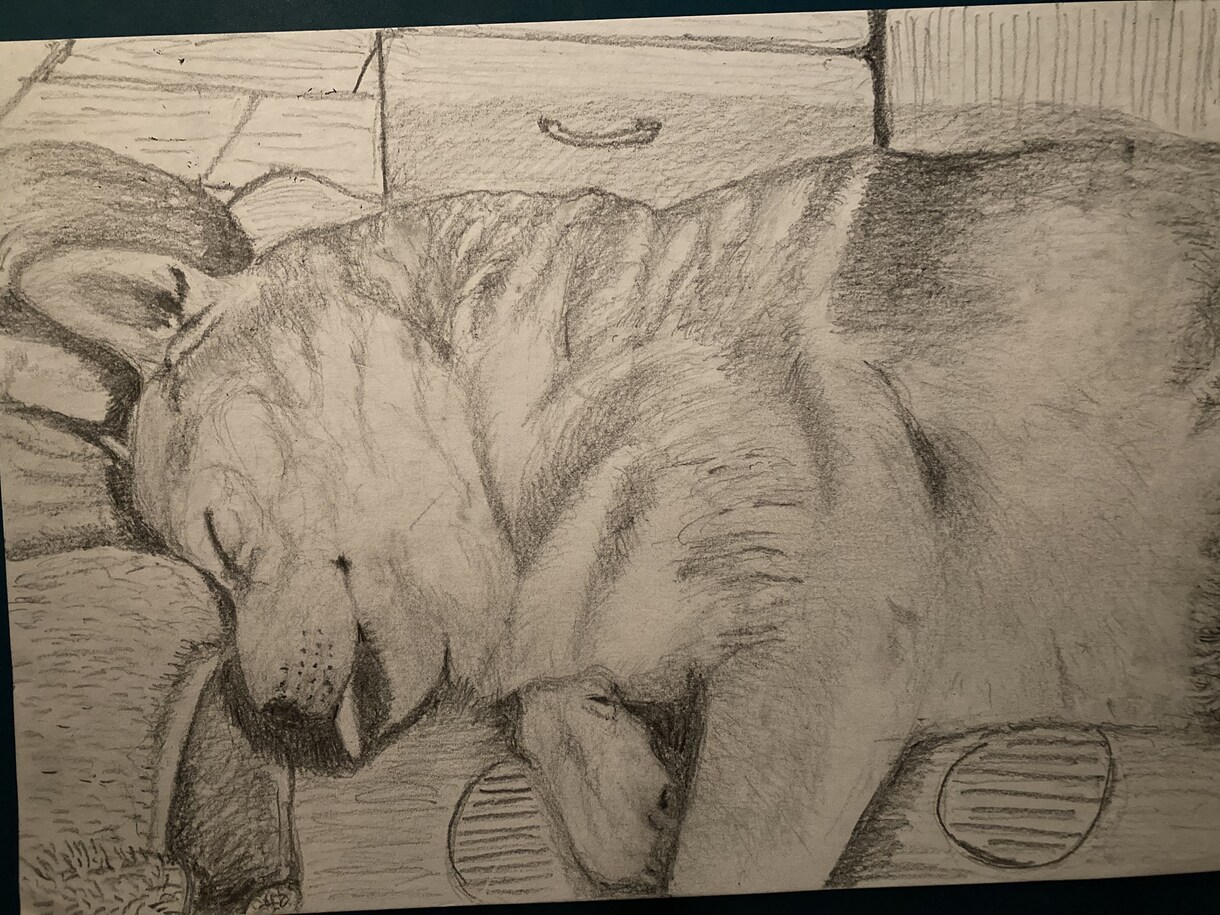 鉛筆でお犬さんを描きます お犬さんの思い出の写真を鉛筆画にいたします。 イメージ7