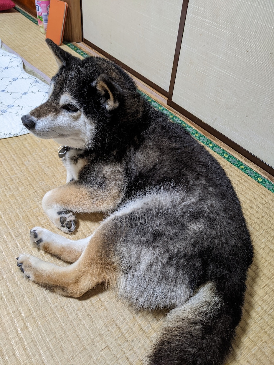 あなたの好きな物事聞きます 推しなど周りに言うのが恥ずかしい人はここで話しましょう！ イメージ10