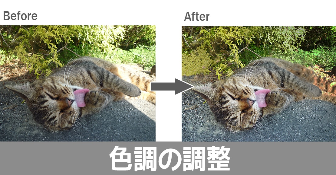 ご希望どおりに写真を加工します 人物レタッチやカラー変更など何でもお任せください！ イメージ5