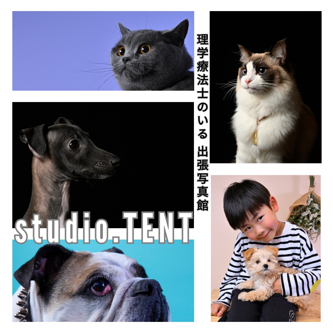 自宅でもスタジオクオリティの撮影体験が出来ます 理学療法士のいる 出張写真館は studio.TENT だけ イメージ1